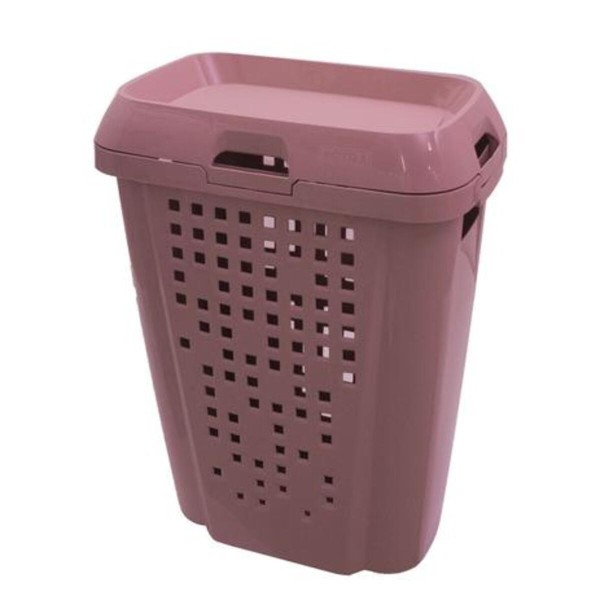 Encontraproduto.com.br - Roupeiro Telado com tampa Astra Rosê 45 L
