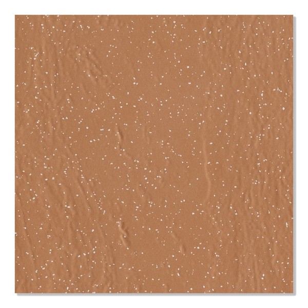 Encontraproduto.com.br - Porcelanato Técnico Amb Caatinga Ferro 21X21cm Nat Retificado