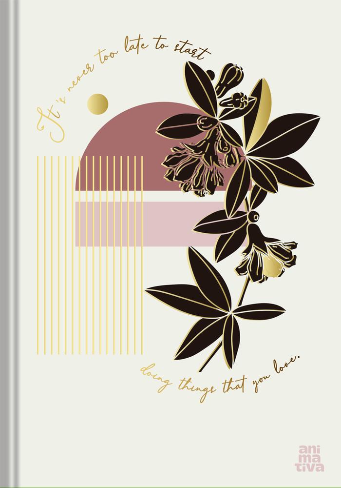 Encontraproduto.com.br - Caderno Brochura Pequeno 80 Folhas Capa Dura Mulher Diversos Modelos São Domingos