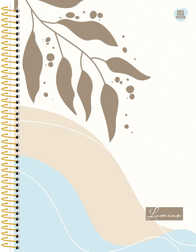 Caderno Universitário 1x1 80 Folhas Capa Dura Lumine Diversos Modelos São Domingos