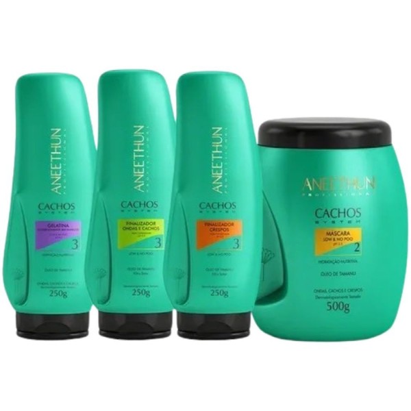 Encontraproduto.com.br - Kit Aneethun Cachos System Cabelos Cacheados (4 Itens)