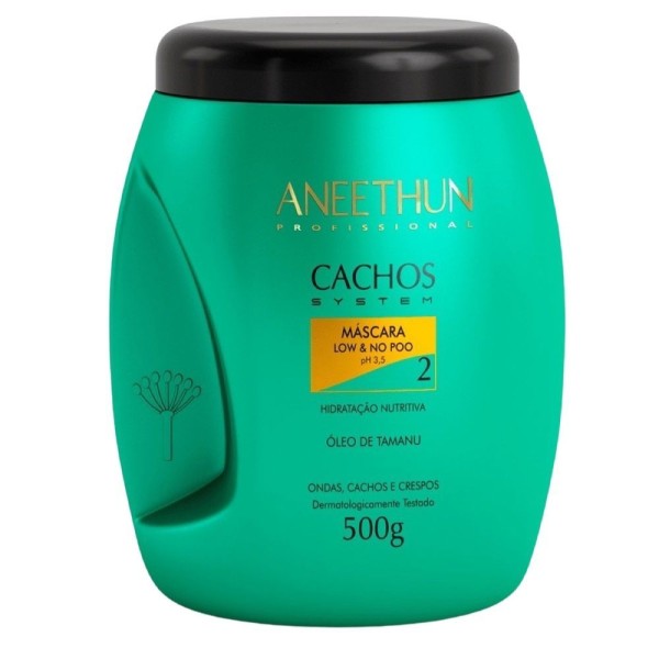 Encontraproduto.com.br - Kit Aneethun Cachos System Cabelos Cacheados (4 Itens)