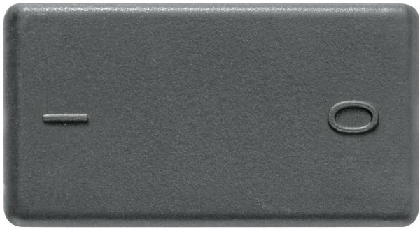Interruptor Tramontina Bipolar Simples 10A 250V Grafite