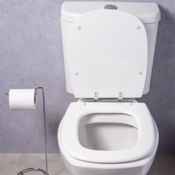 Encontraproduto.com.br - Assento sanitário Sabatini branco Alterna