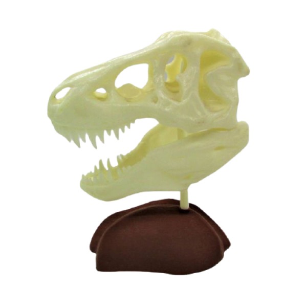 Encontraproduto.com.br - Geek Esqueleto Tiranossauro Rex 3d Quarto Escritório 17x14