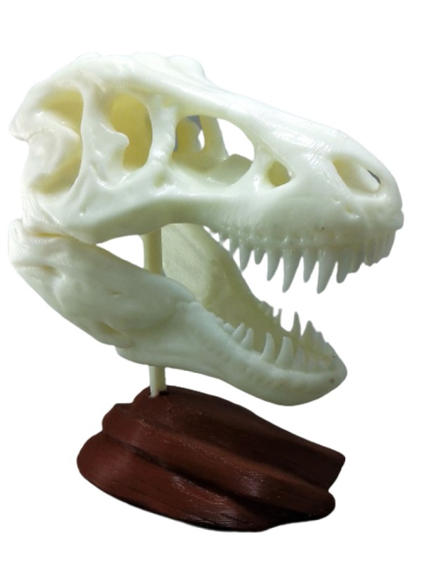 Encontraproduto.com.br - Geek Esqueleto Tiranossauro Rex 3d Quarto Escritório 17x14