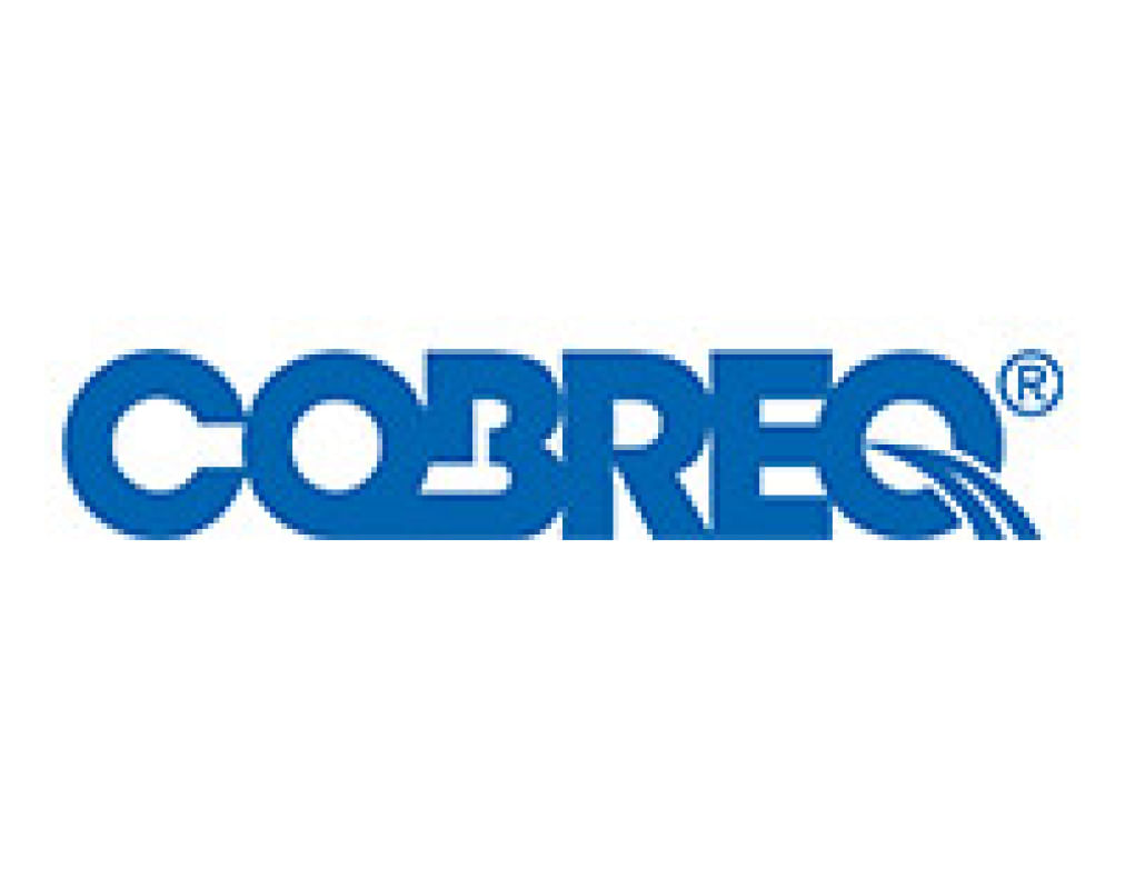 Encontraproduto.com.br - Disco Freio Traseiro - Cobreq - 0002DIS
