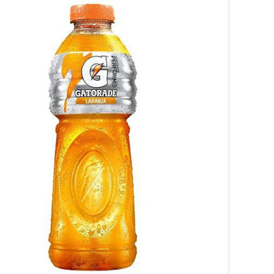Encontraproduto.com.br - Isotônico Gatorade Laranja Pet com 500ml