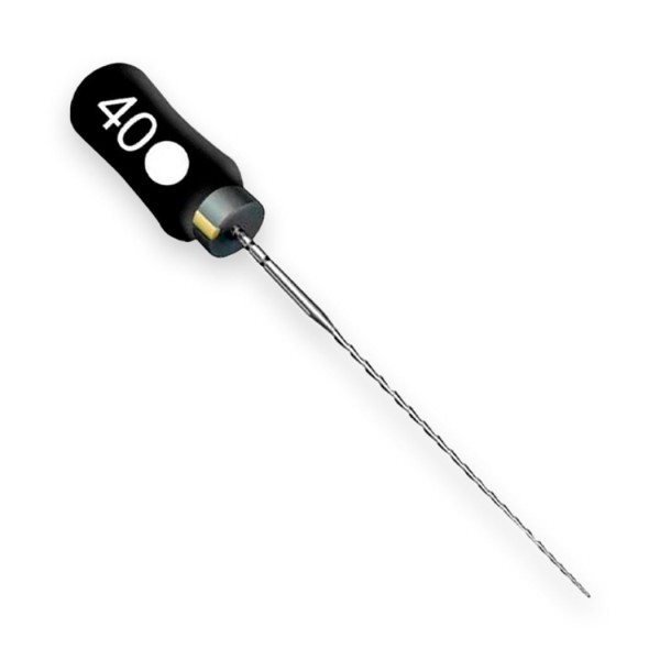 Encontraproduto.com.br - Lima Hedstroem File 31mm - Dentsply Sirona