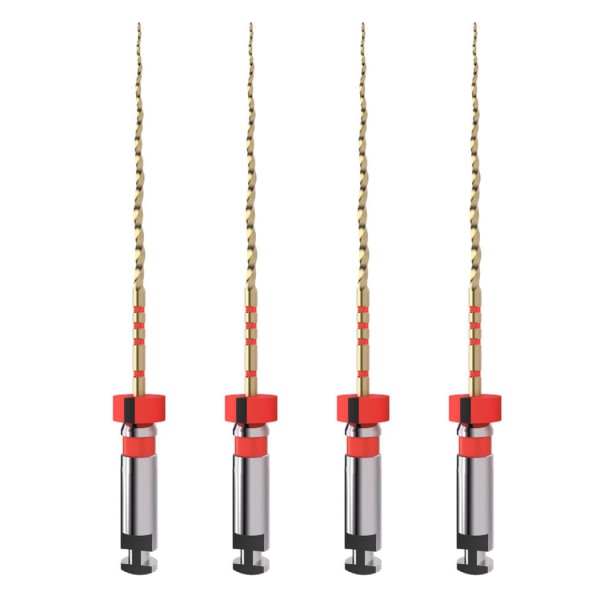 Encontraproduto.com.br - Lima Rotatória Trunatomy Prime 25mm com 4 Maillefer - Dentsply Sirona