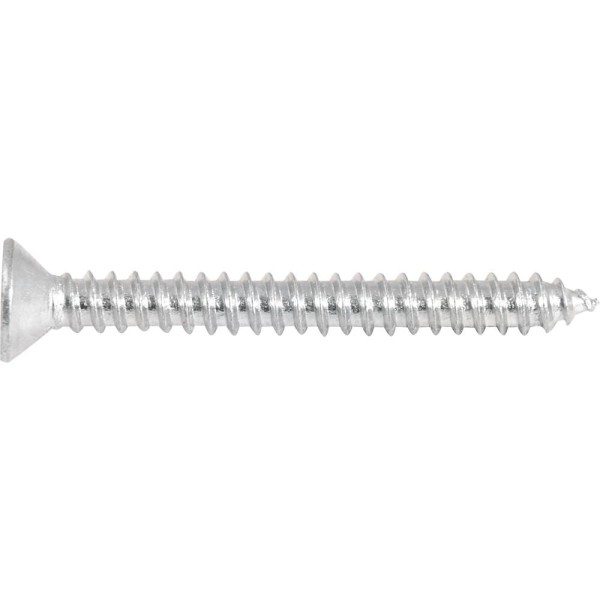 Parafuso Autoatarraxante 4,2x38,0mm Phillips 10 peças Vonder