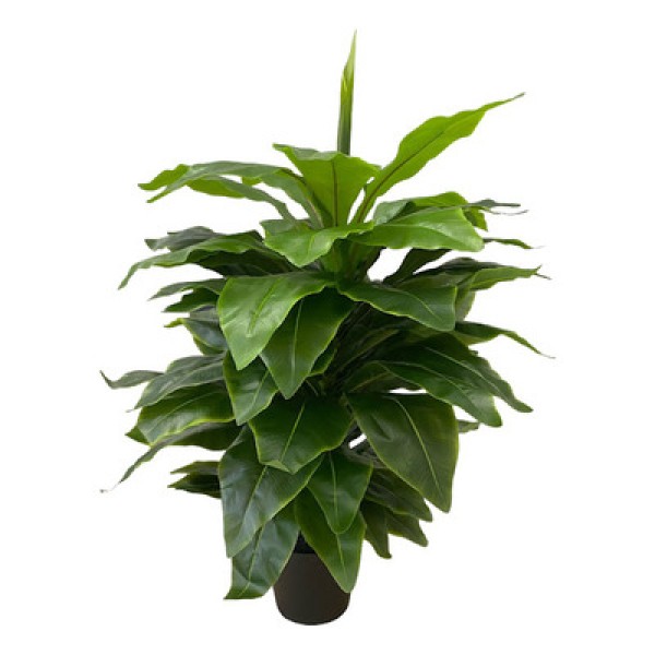 Encontraproduto.com.br - Árvore com Pote Asplênio 80cm Verde Flor Arte
