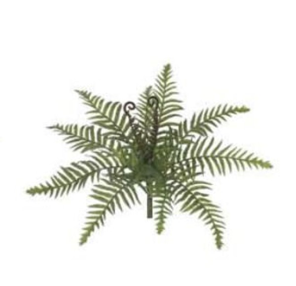 Encontraproduto.com.br - Samambaia Real Toque com Print 27cm Verde Flor Arte