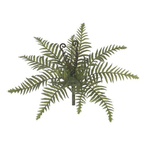 Encontraproduto.com.br - Samambaia Real Toque com Print 27cm Verde Flor Arte