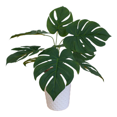 Folha Costela de Adão Toque Real Florarte 43cm Verde