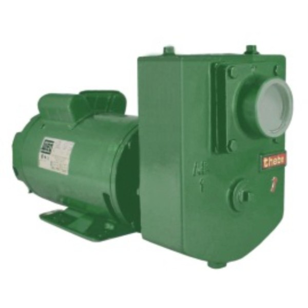 Encontraproduto.com.br - Bomba Auto Escorvante Thebe AEX-1 3,0CV Monofásica Motor Nova