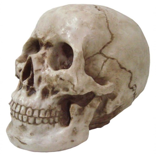 Encontraproduto.com.br - Estatueta Sala Quarto Geek Crânio Grande Resina 17x20