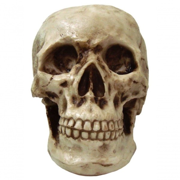 Encontraproduto.com.br - Estatueta Sala Quarto Geek Crânio Grande Resina 17x20