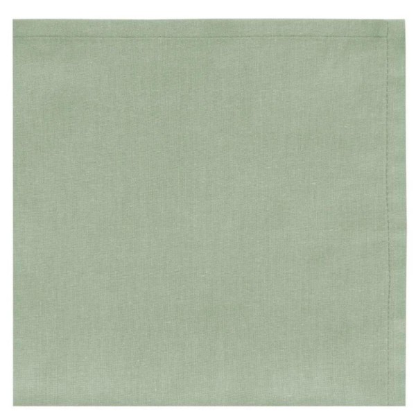 Encontraproduto.com.br - Guardanapo Home Salvia Copa com 4 Peças 45x45 cm