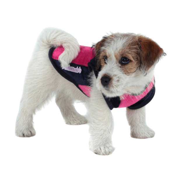 Roupinha My Dream Color para Cães Rosa N°00 Pickorruchos