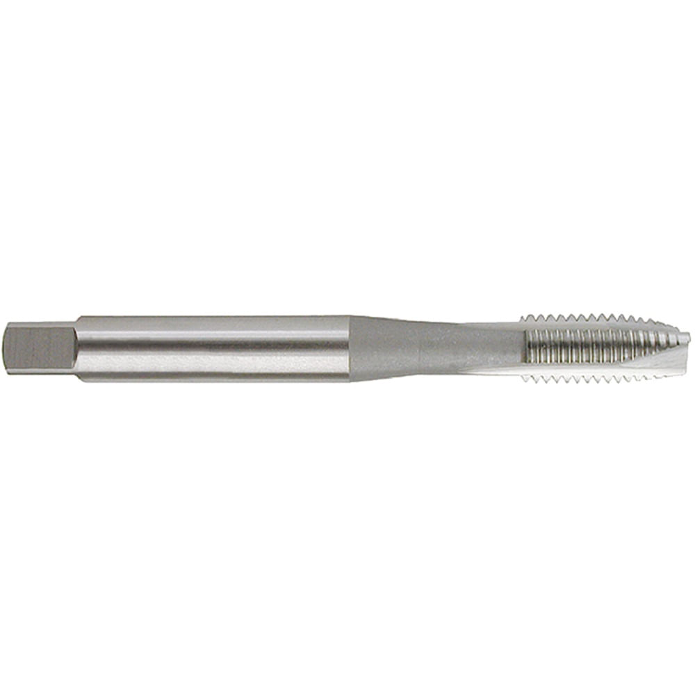 Macho máquina POT métrica grossa HSSE 250/1 M06 X 1 Tin OSG Ref. 7499