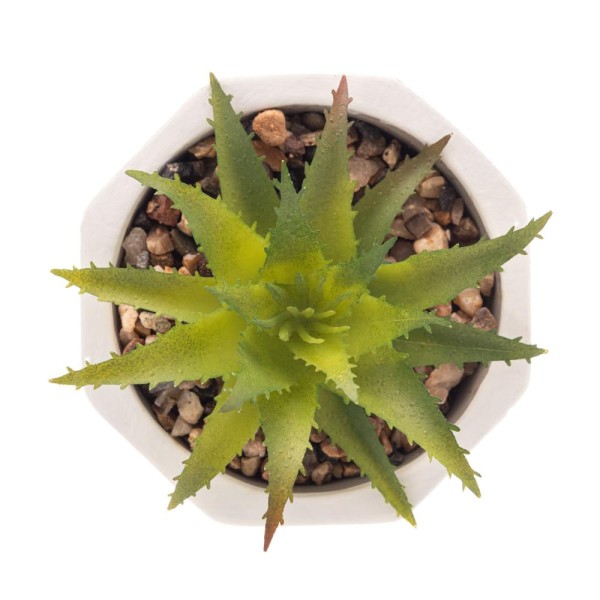 Encontraproduto.com.br - Cachepot de Cimento com Suculenta Geométrico Branco 7,5cm x 9,5cm - Wolff