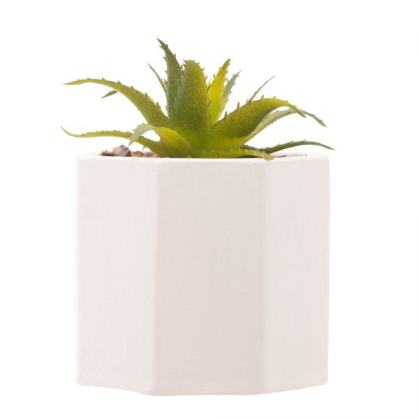 Encontraproduto.com.br - Cachepot de Cimento com Suculenta Geométrico Branco 7,5cm x 9,5cm - Wolff