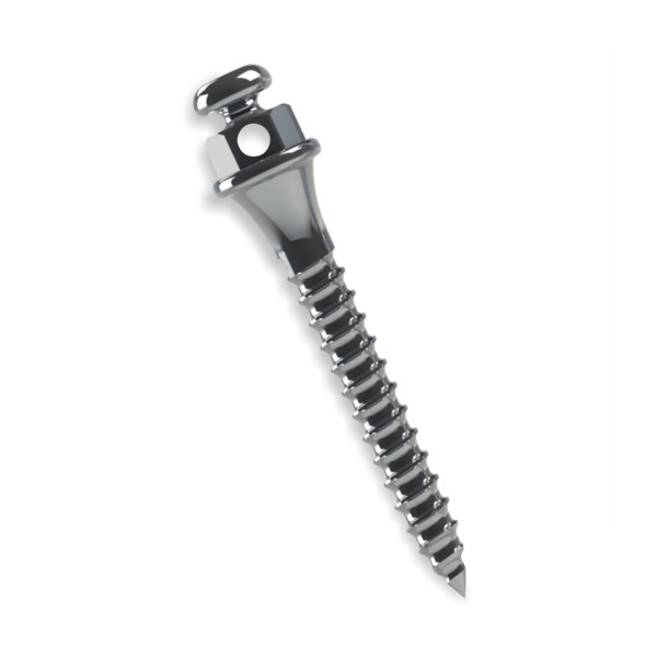 37.10.203 Mini Parafuso Ortodôntico Compr: 10mm Transm: 2mm Ø 1,5mm - Morelli