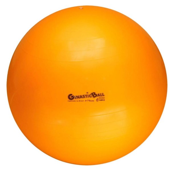 Encontraproduto.com.br - Bola de Pilates Fitball Gynastic Ball 75cm Carci Laranja