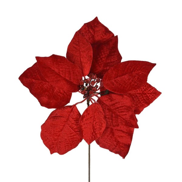 Encontraproduto.com.br - Bico de Papagaio Grillo Diversas Vermelho 41753