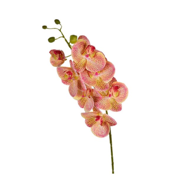 Buquê de Orquídea Grillo 51230 X8 Salmão