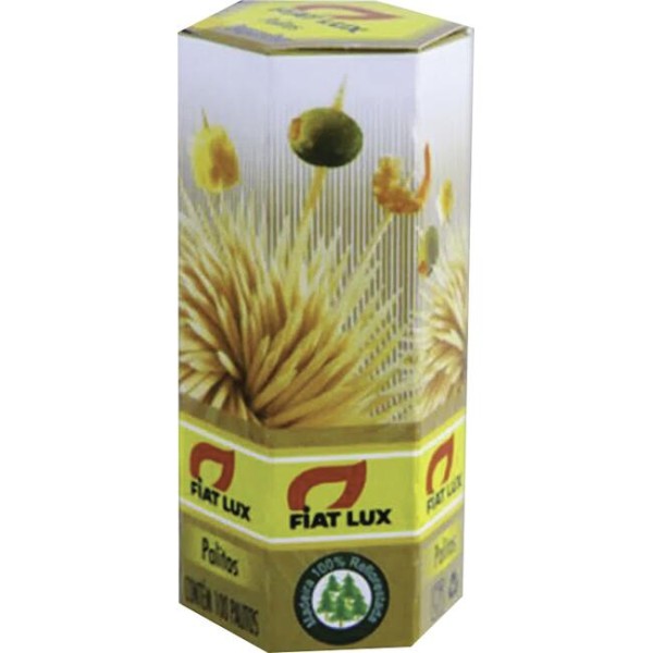 Encontraproduto.com.br - Palito Fiat Lux Caixeta com 100 unidades