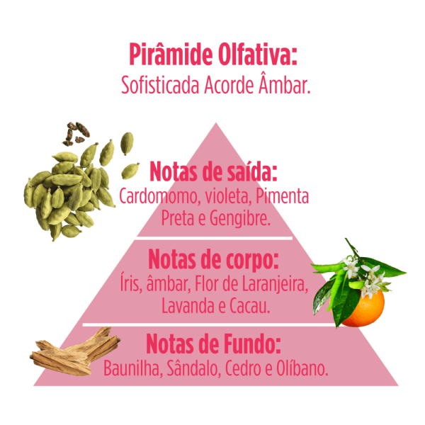 Encontraproduto.com.br - Salon Opus Condicionador  Pós Química 350ml