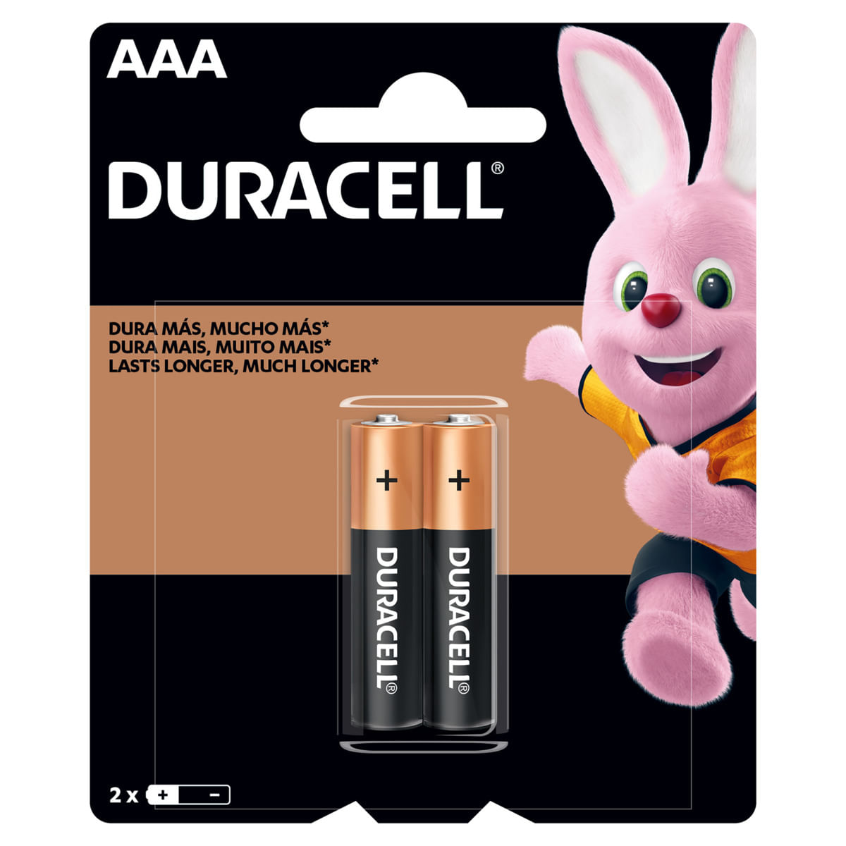 Pilha Duracell Alcalina Palito AAA com 2 Unidades