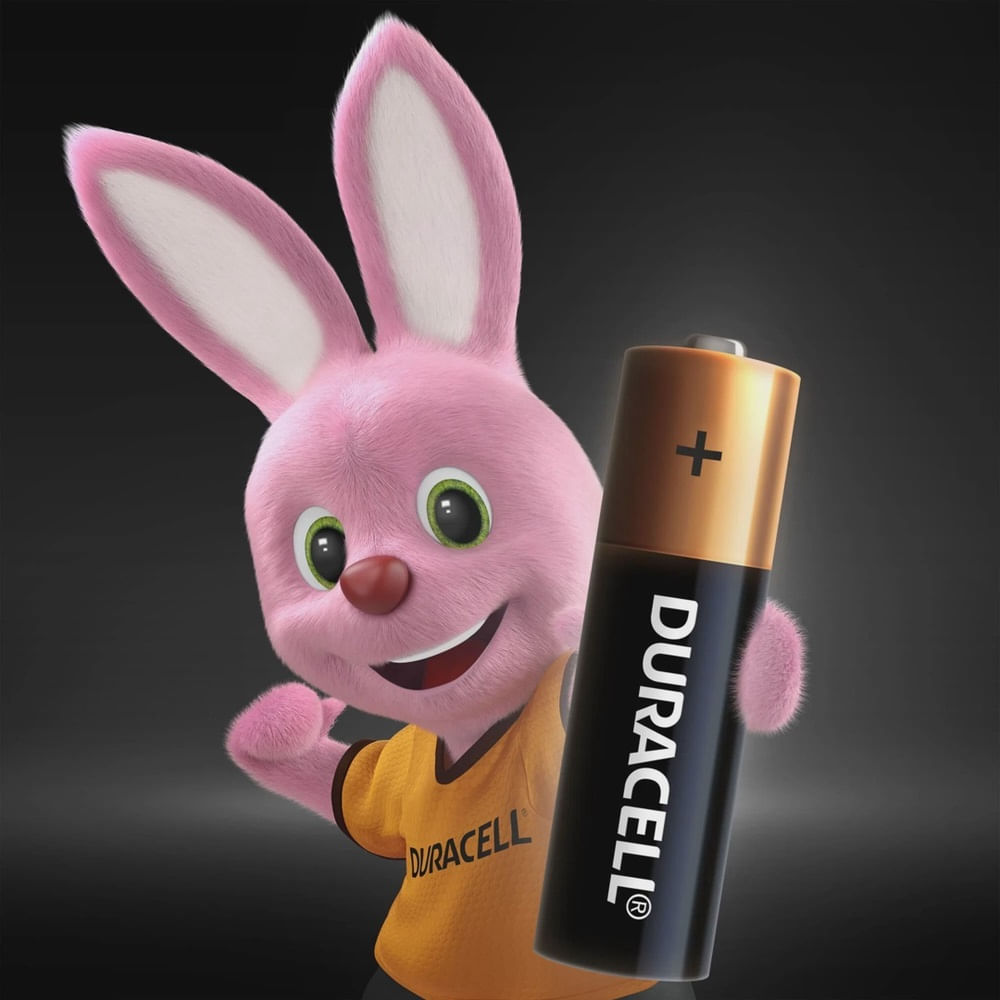 Encontraproduto.com.br - Pilha Duracell Alcalina Palito AAA com 2 Unidades