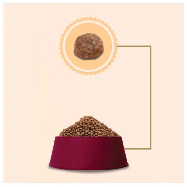 Encontraproduto.com.br - Ração Gran Plus Menu Cão Filhote Mini Frango e Arroz