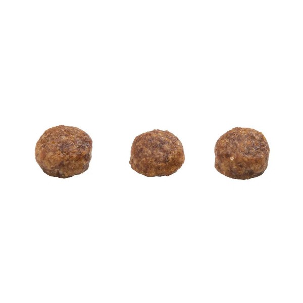 Encontraproduto.com.br - Ração Gran Plus Menu Cão Filhote Mini Frango e Arroz