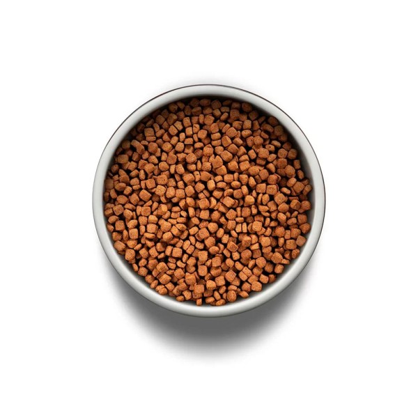 Encontraproduto.com.br - Ração Guabi Natural Gatos Castrados Frango e Arroz Integral