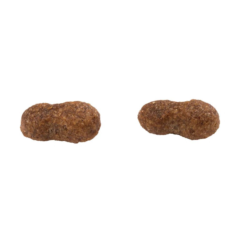 Encontraproduto.com.br - Ração Guabi Natural para Cães Adultos de Raças Médias Sabor Salmão & Cevada