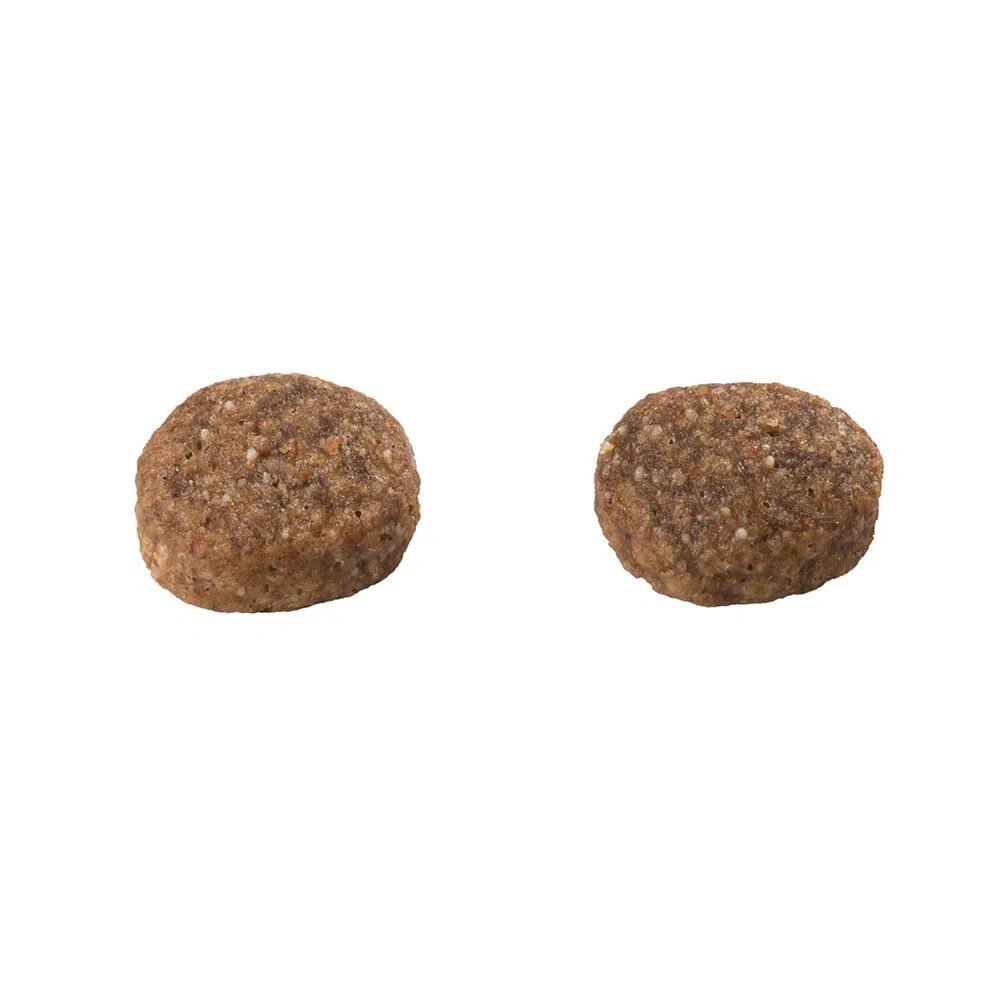 Encontraproduto.com.br - Ração Guabi Natural Cães Adultos Sensitive Raças Mini, Pequeno e Médio Salmão e Aveia