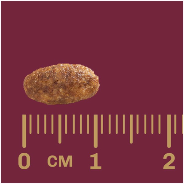 Encontraproduto.com.br - Ração Gran Plus Menu Gatos Adultos Sabor Frango e Arroz