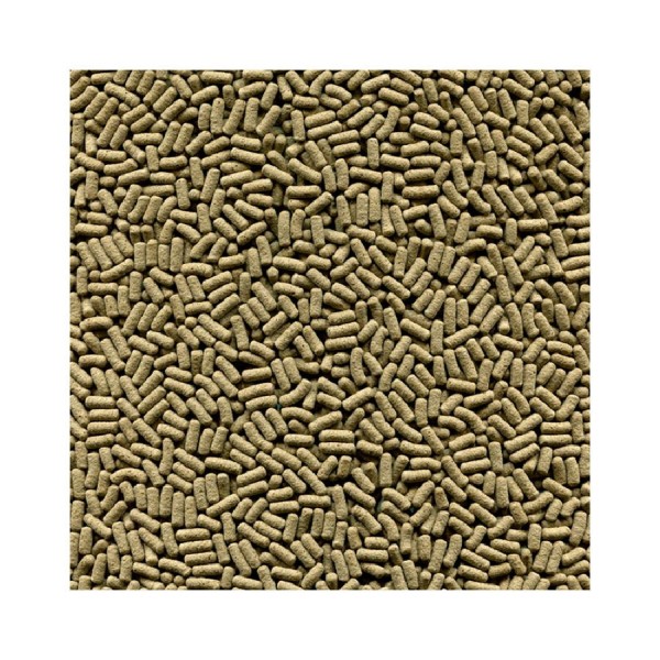 Encontraproduto.com.br - Ração Alcon Club Reptolife