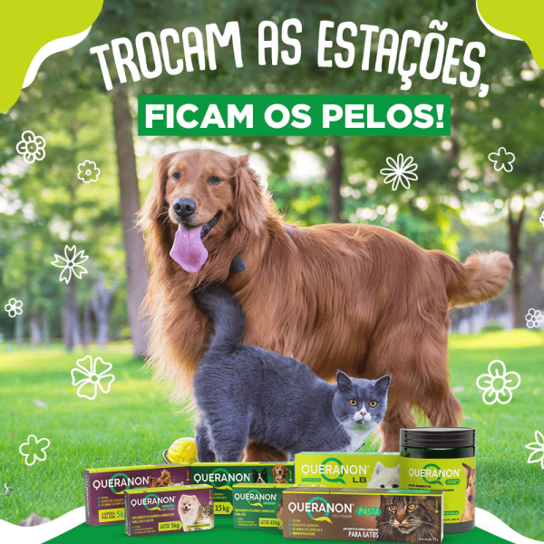 Encontraproduto.com.br - Suplemento Vitamínico Queranon para Cães 30 com Comprimidos