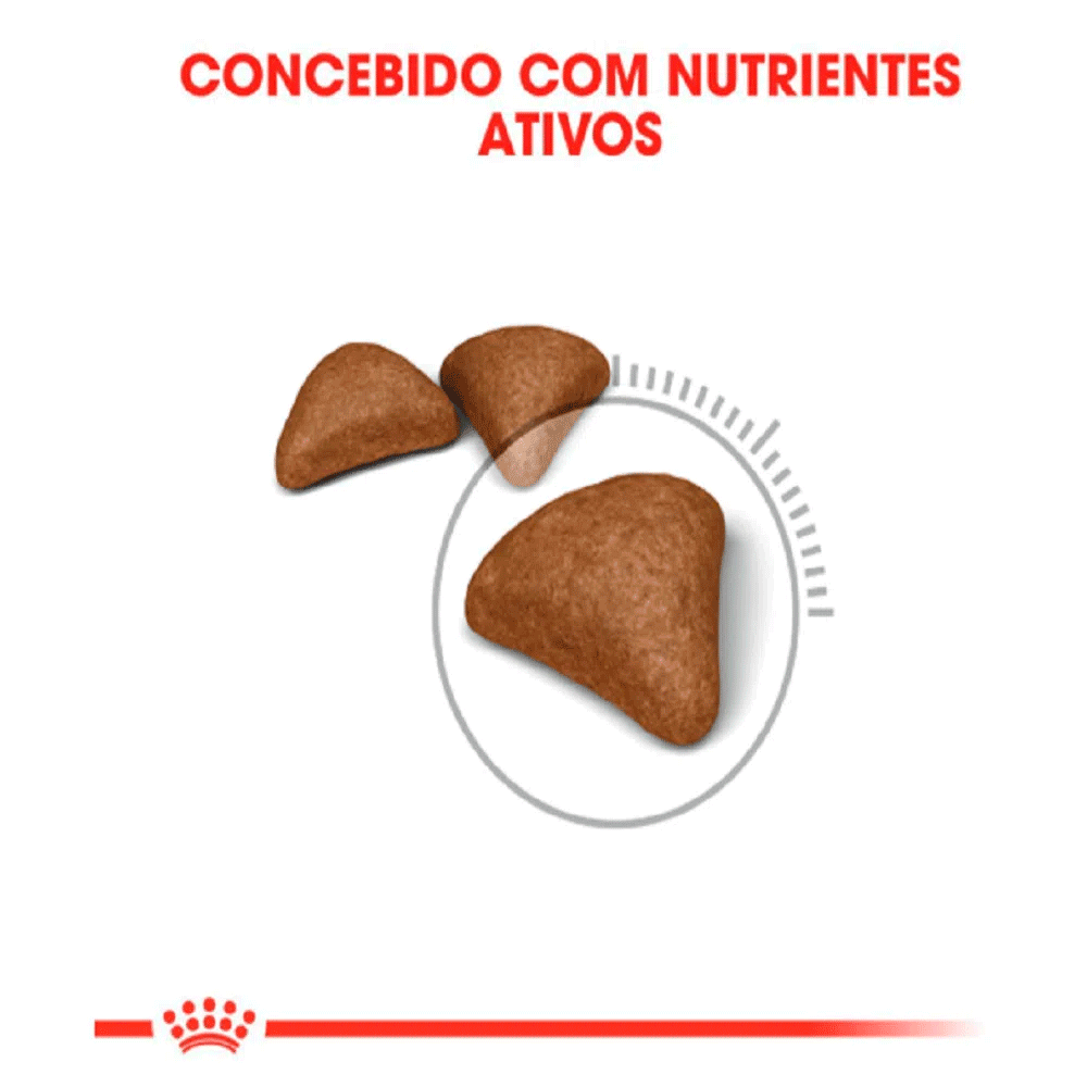 Encontraproduto.com.br - Ração Royal Canin Intense Hairball