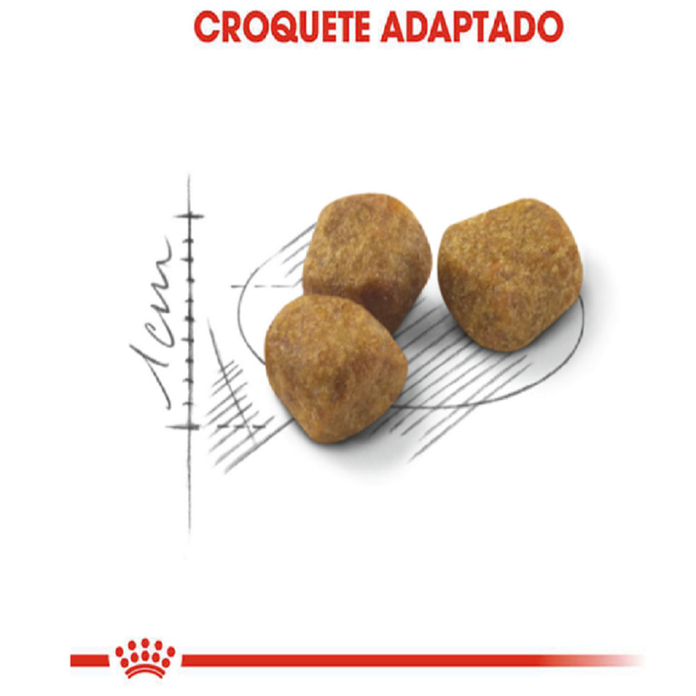 Encontraproduto.com.br - Ração Royal Canin Sterilised Indoor 7+ para Gatos