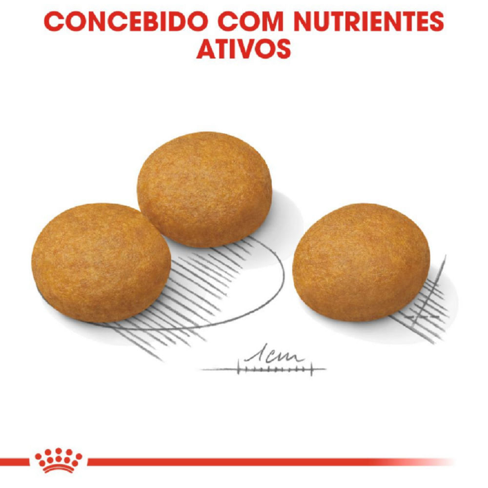 Encontraproduto.com.br - Ração Royal Canin Cães Adultos Maxi Dermacomfort 10,1KG