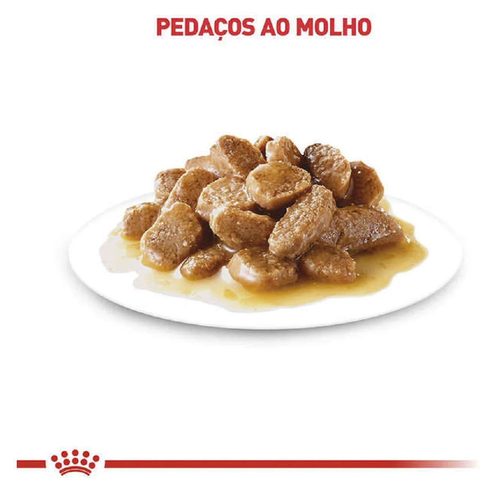 Ração Úmida Royal Canin Sachê para Cães Mini Adult 85g