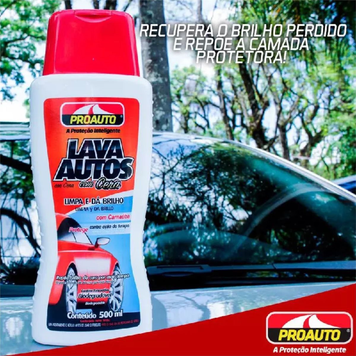 Encontraproduto.com.br - Lava Auto com Cera 500ml PROAUTO 262