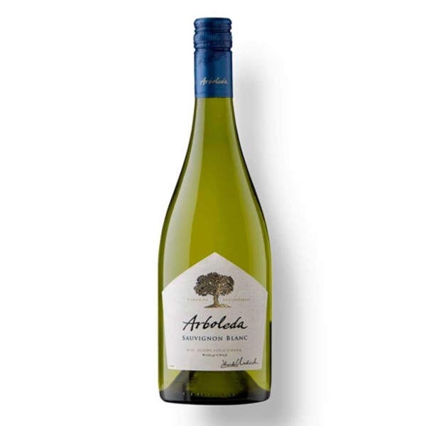 Encontraproduto.com.br - Vinho Branco Chileno Sauvignon Blanc Arboleda 750ml