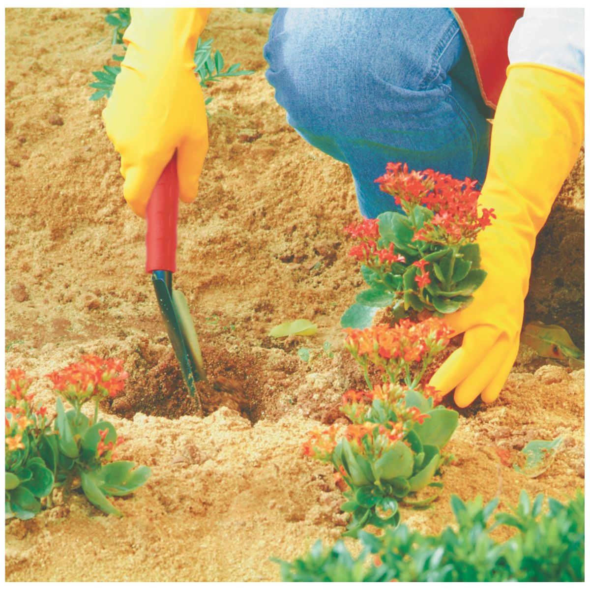 Encontraproduto.com.br - Conjunto Para Jardim 3 Peças Vermelho Fj1202 Trapp